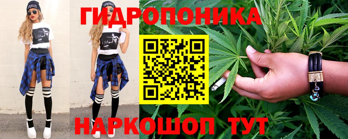 Каннабис семена Коркино